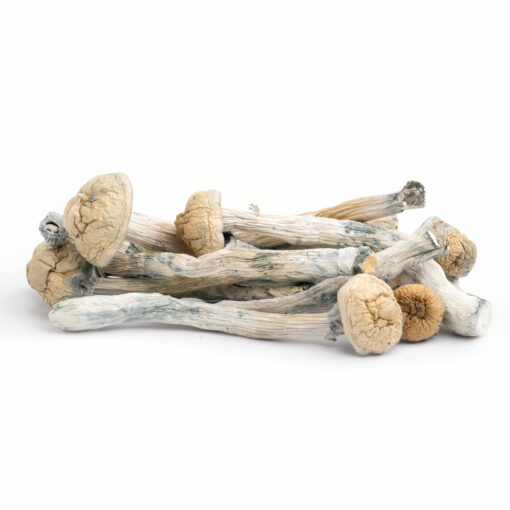 Trinity Mushrooms