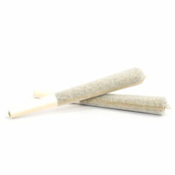 Sativa Pre-Rolled Joint